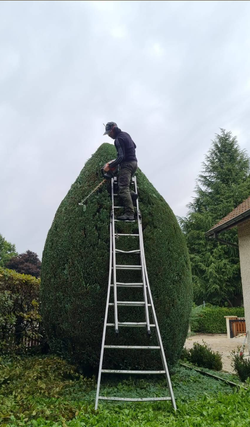 Plantation et aménagement paysager